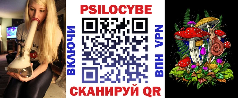 Купить закладки  Новодвинск  Галлюциногенные грибы GOLDEN TEACHER 