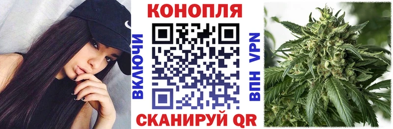 Шишки марихуана марихуана Новодвинск